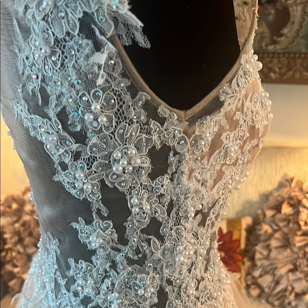 Elegant Nude Lace Evening Gown - Picture 3 of 6